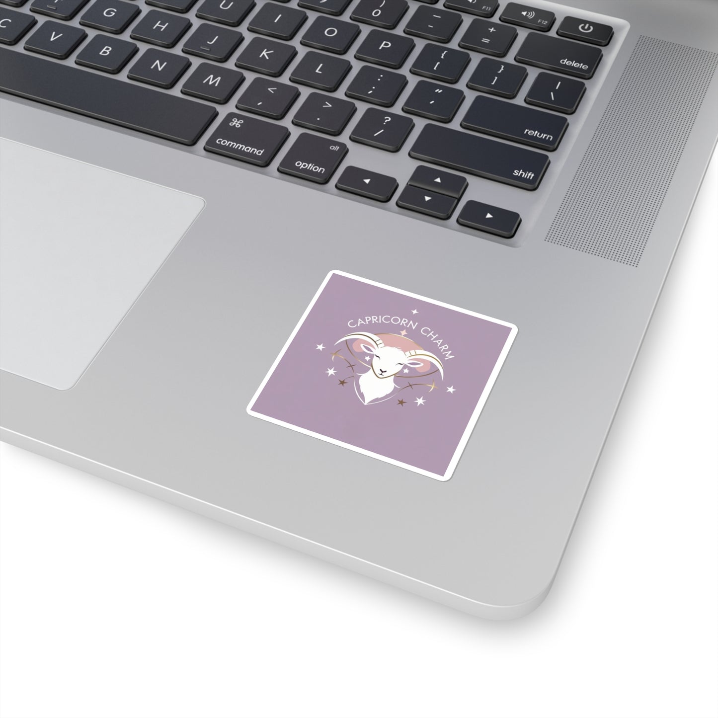 Capricorn Charm Sticker