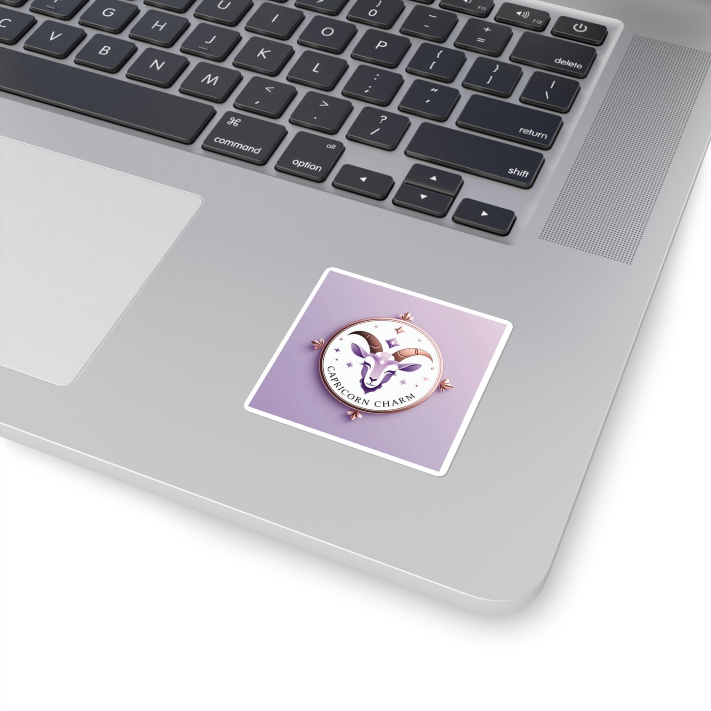 Capricorn Charm Chic Sticker